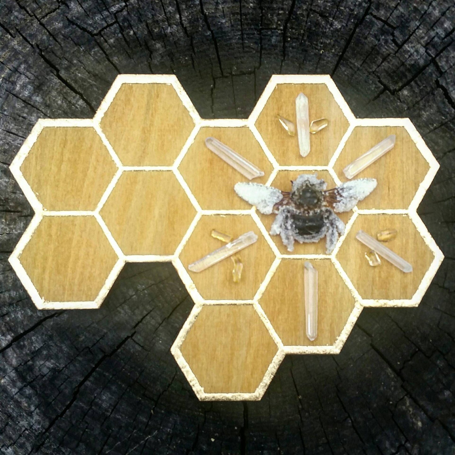 Honeycomb Laser etched wood grid ... bee honeybee hive hexagon